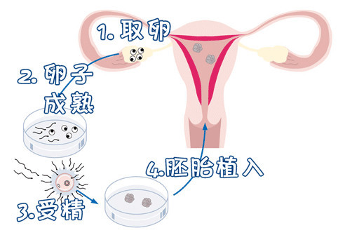 中心环境